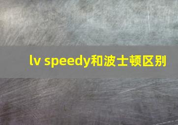 lv speedy和波士顿区别